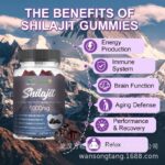 SHILAJIT GUMMIES FOR IMMUNE/BONE/FITNESS/AGING SUPPLEMENT 
(60 VEGANS GUMMIES)


* Support Immunity
* Promote Brain Health (Focus & Memory)
* Boost Energy & Vitality
* Helps to Calm Once Nerves & Revitalization
* Aging defense
* For Performance & Recovery
* Support Overall Health - Image 5