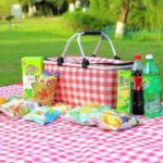 COLLAPSIBLE INSULATED DOUBLE HANDLE COLORFUL PICNIC BAG BIG SIZE